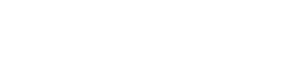 Venice Arrhythmias 2027
